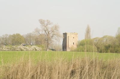 Ruine De Nijenbeek