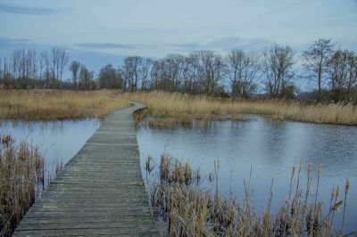Beekbergerwoud
